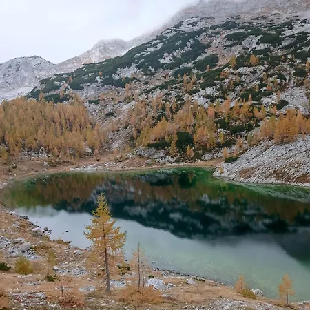 شقة With Mountain View And Rivers Close By *