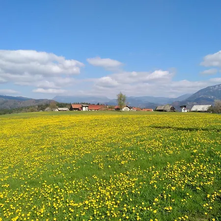 Διαμέρισμα With Mountain View And Rivers Close By *