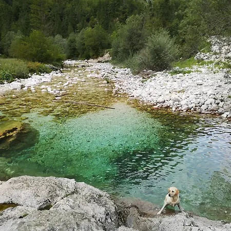 With Mountain View And Rivers Close By Smartno ob Dreti