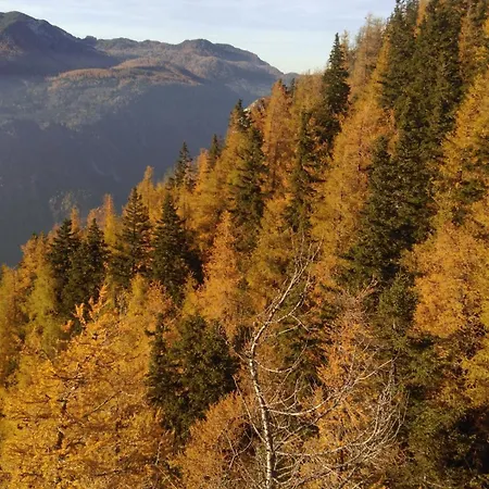 With Mountain View And Rivers Close By Appartement