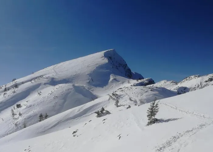 With Mountain View And Rivers Close By