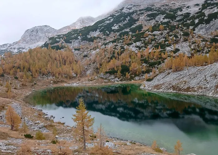 Διαμέρισμα With Mountain View And Rivers Close By *