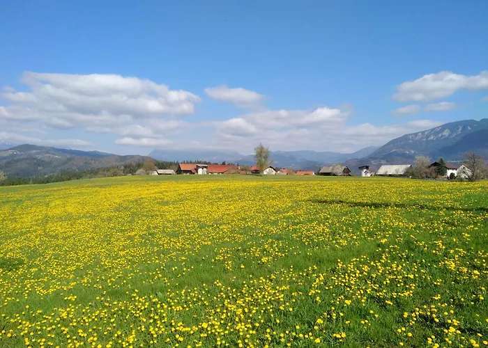 Διαμέρισμα With Mountain View And Rivers Close By *