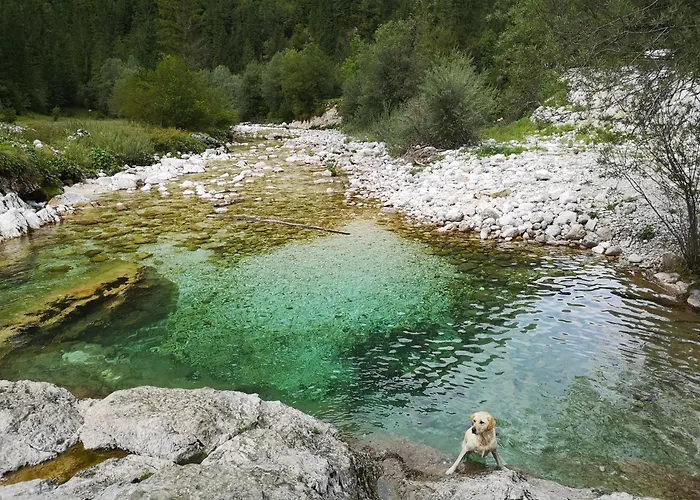 With Mountain View And Rivers Close By Smartno ob Dreti